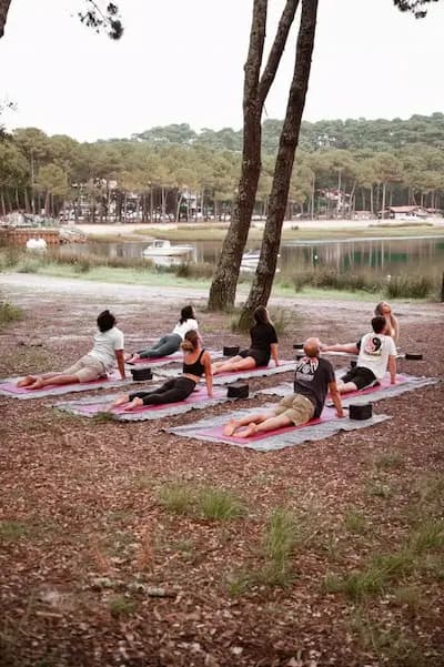 Sous les pins d'un lac landais, un groupe enchaîne la posture du cobra sur des tapis roses
