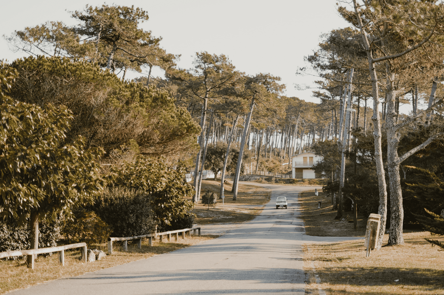 Paysage des Landes Nouvelle Aquitaine Voyage en van