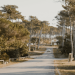 Voyager en van aménagé électrique dans les Landes