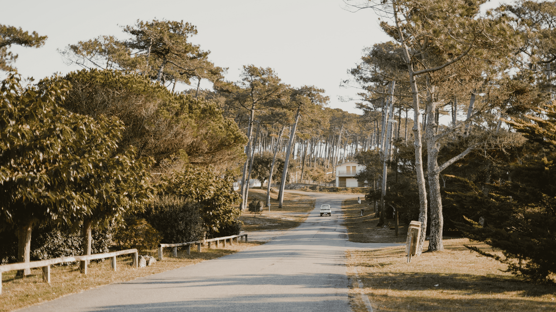 Voyager en van aménagé électrique dans les Landes