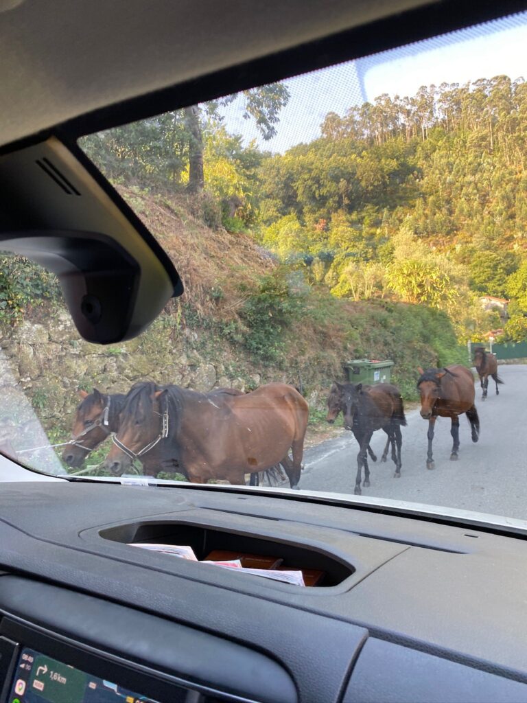 Louer un van aménagé dans le sud-ouest
